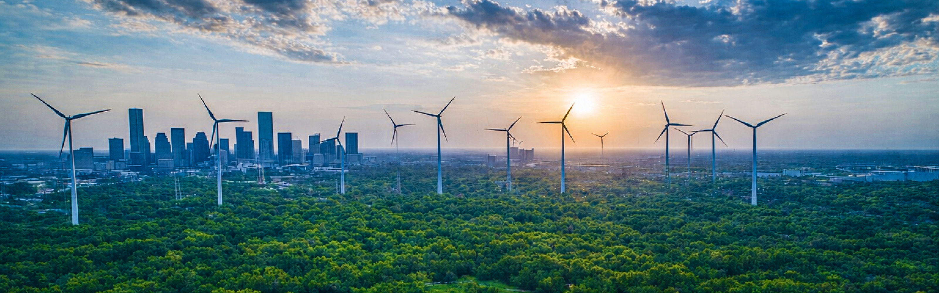 Pubali Sustainable Finance